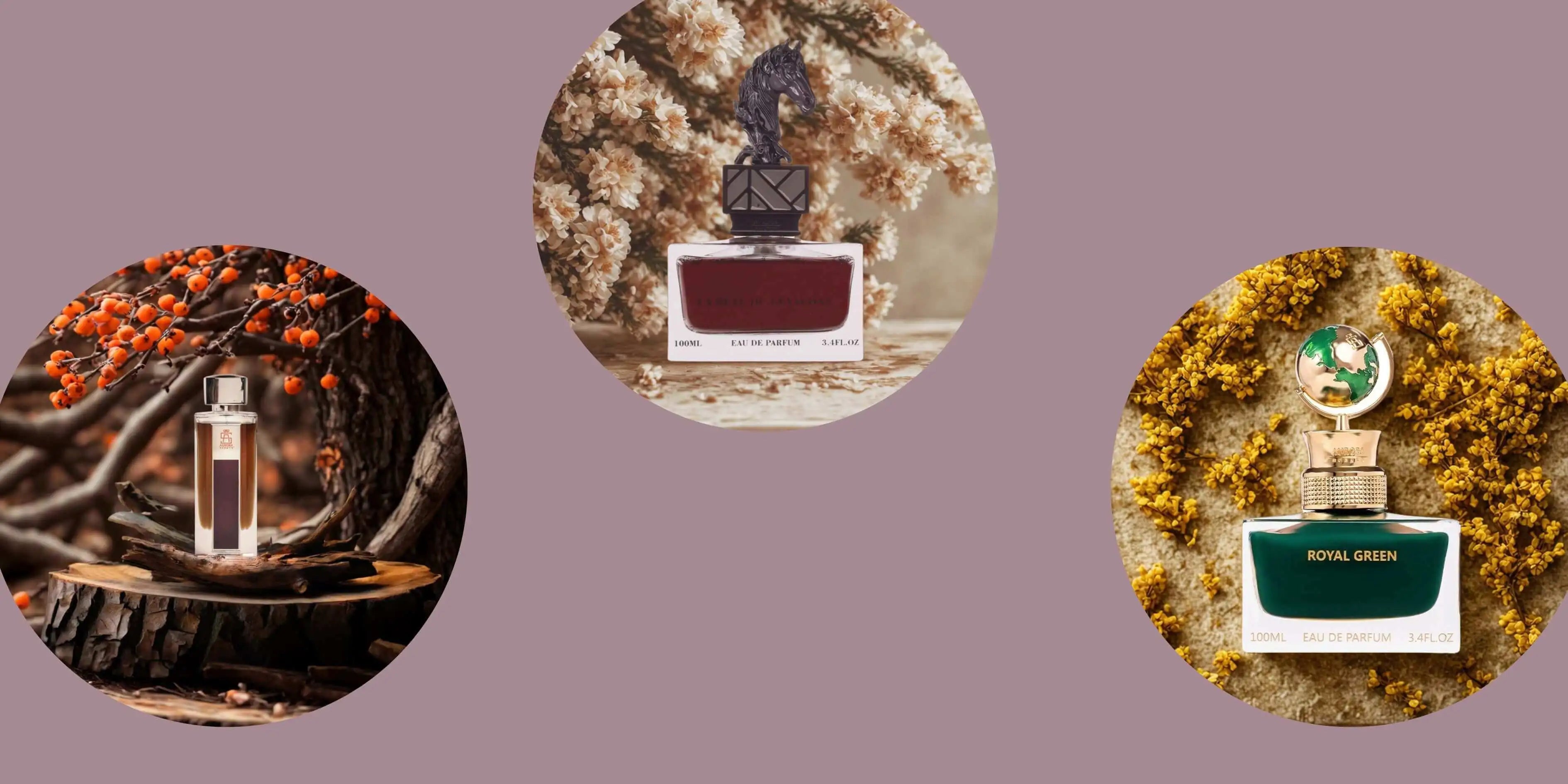Three Aurora Scents perfume bottles displayed in circular frames, each with a different natural-themed background: wooden log with berries, floral branches, and yellow blossoms