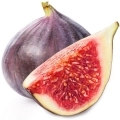 Fig Fragrance notes